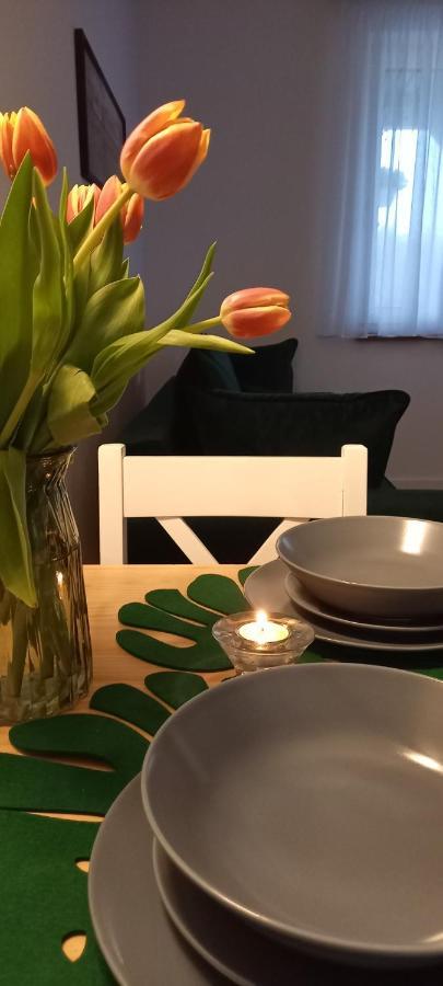 Siedlisko Czapla Kolo Suntago Lägenhet Grabce-Towarzystwo Exteriör bild